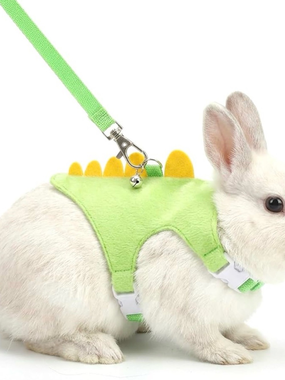Green Pet Harness and Leash for Small Dogs and Rabbits